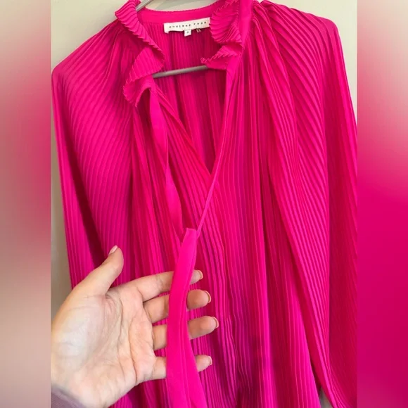 Endless Rose Pleated Chiffon Blouse - Picture 10 of 15